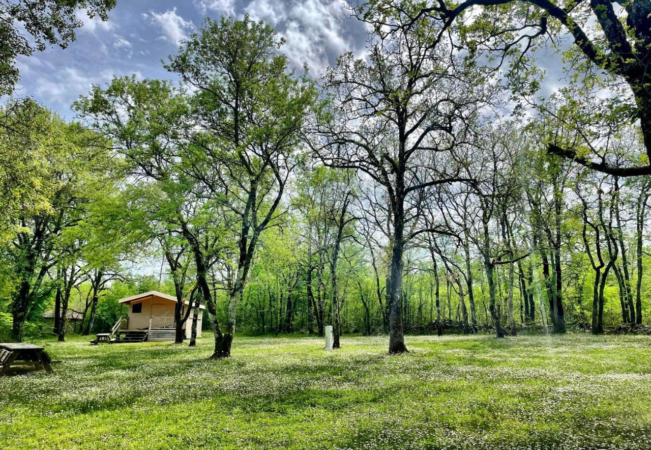 Lodges Du Bois Dodo - Ancien Camping De Bois Redon Septfonds Εξωτερικό φωτογραφία